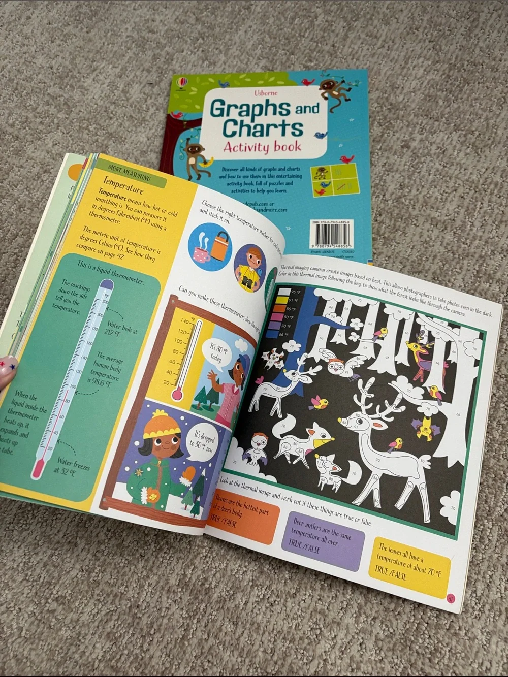 Usborne Activity Book Set - Graphs and Charts & Measuring Things